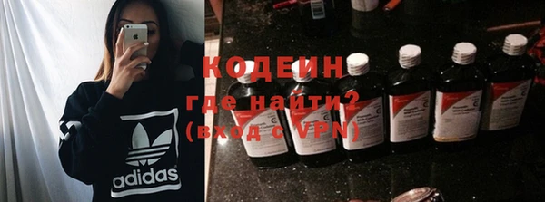 крисы Абаза