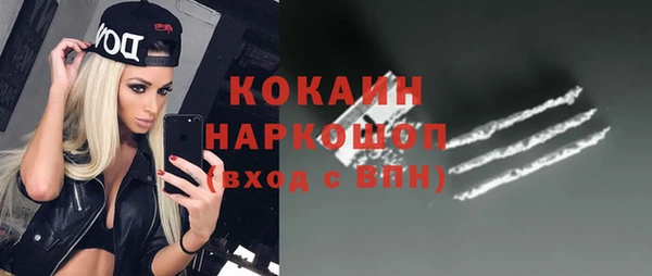 крисы Абаза
