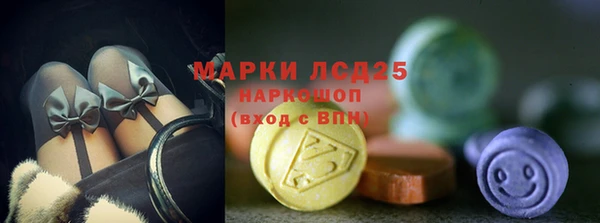 крисы Абаза