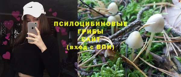 прущие грибы Алзамай