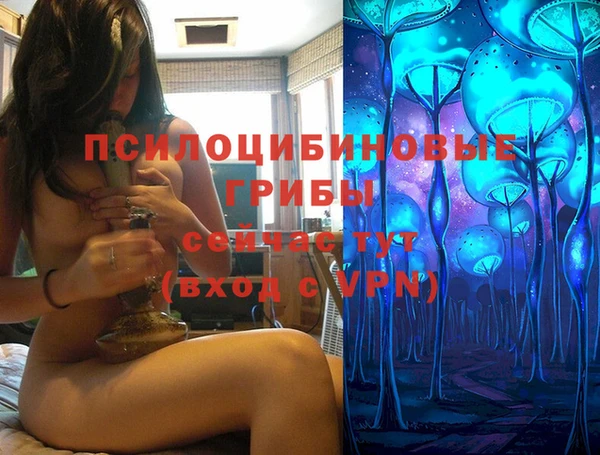 герыч Алексин