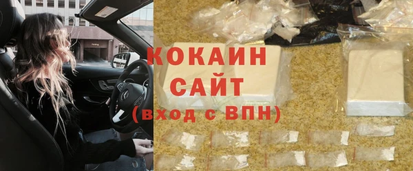 прущие грибы Алзамай