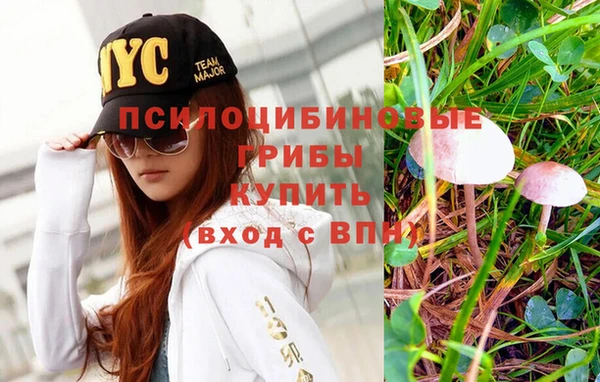 шишки Абдулино