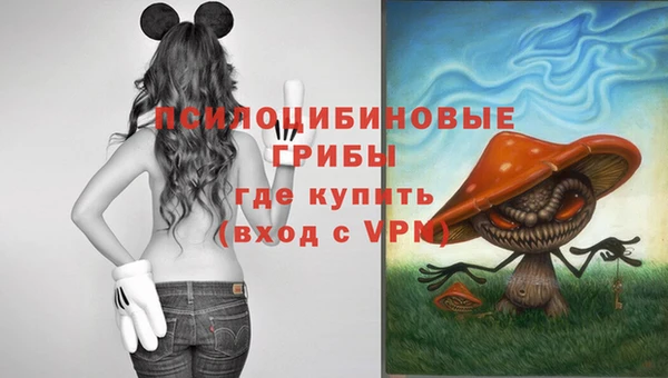 шишки Абдулино