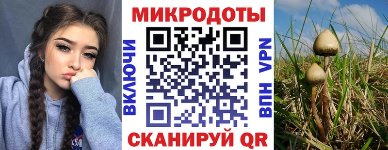 Галлюциногенные грибы ЛСД Салават